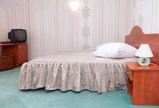 Отель Hotel Rusu Петрошани Двухместный номер с 1 кроватью-5