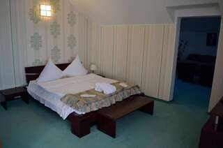 Отель Hotel Rusu Петрошани Люкс с 2 спальнями и кроватью размера "queen-size"-16